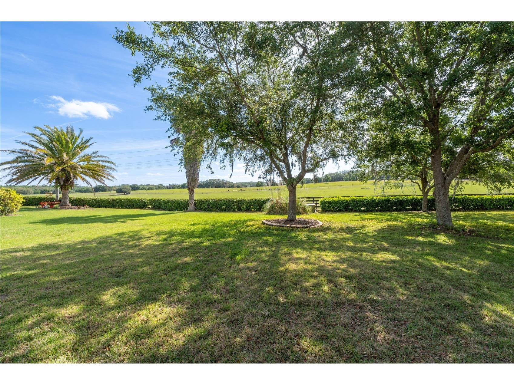 270 Matisse Avenue The Villages FL 32162 G5110907 image6