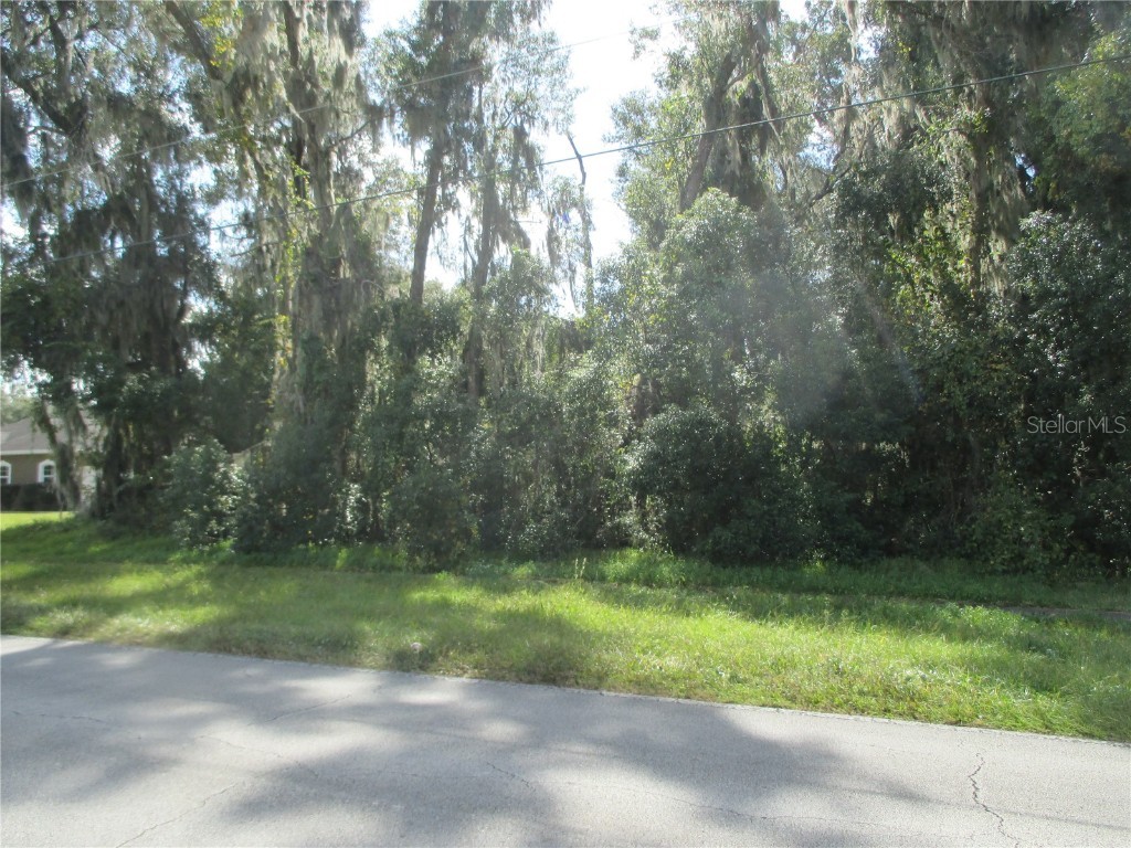 270 Mercers Fernery Road Deland FL 32720 O6152141 image1