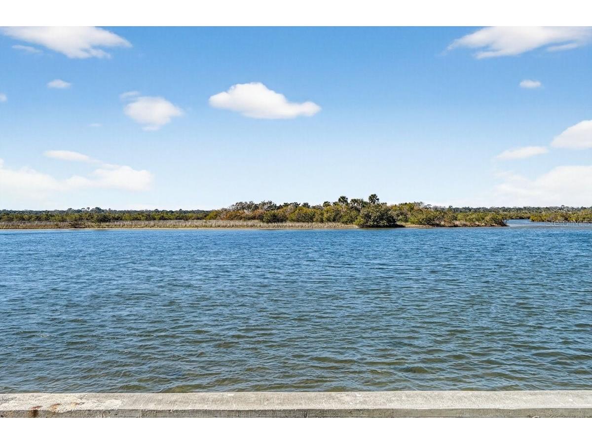 270 Ocean Palm Drive Flagler Beach FL 32136 NS1087333 image11