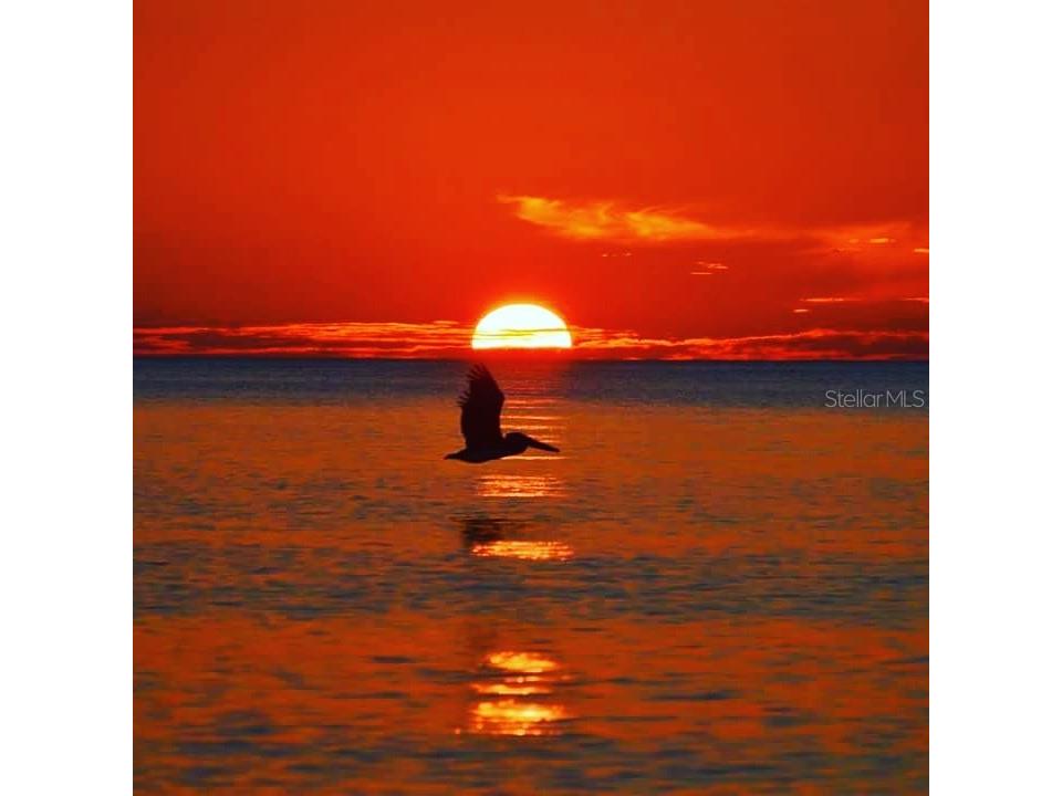 270 S Gulf Boulevard Placida FL 33946 - BOCILLA LAGOON D6136066 image21