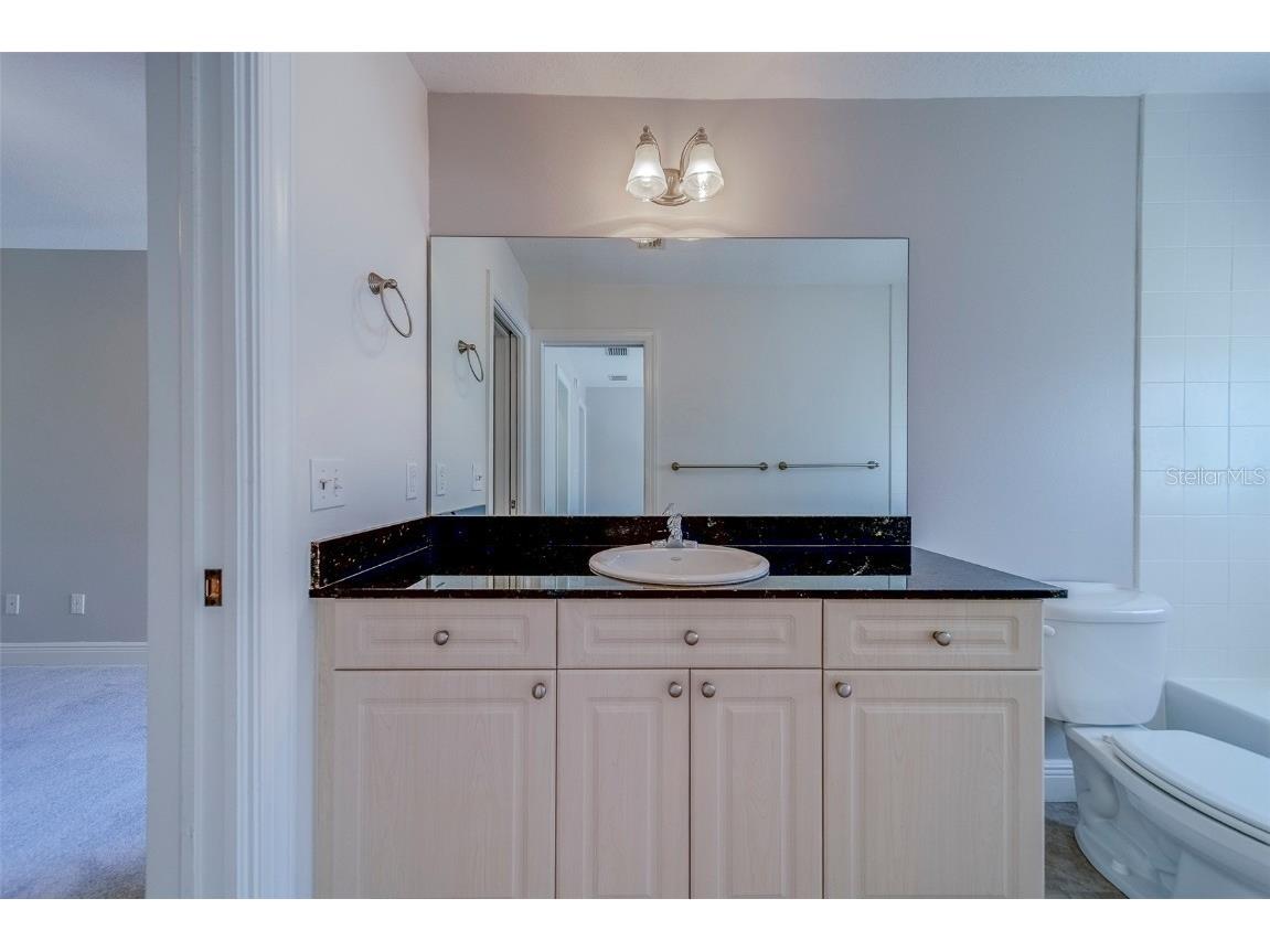 270 Valencia Circle Saint Petersburg FL 33716 TB8451739 image49