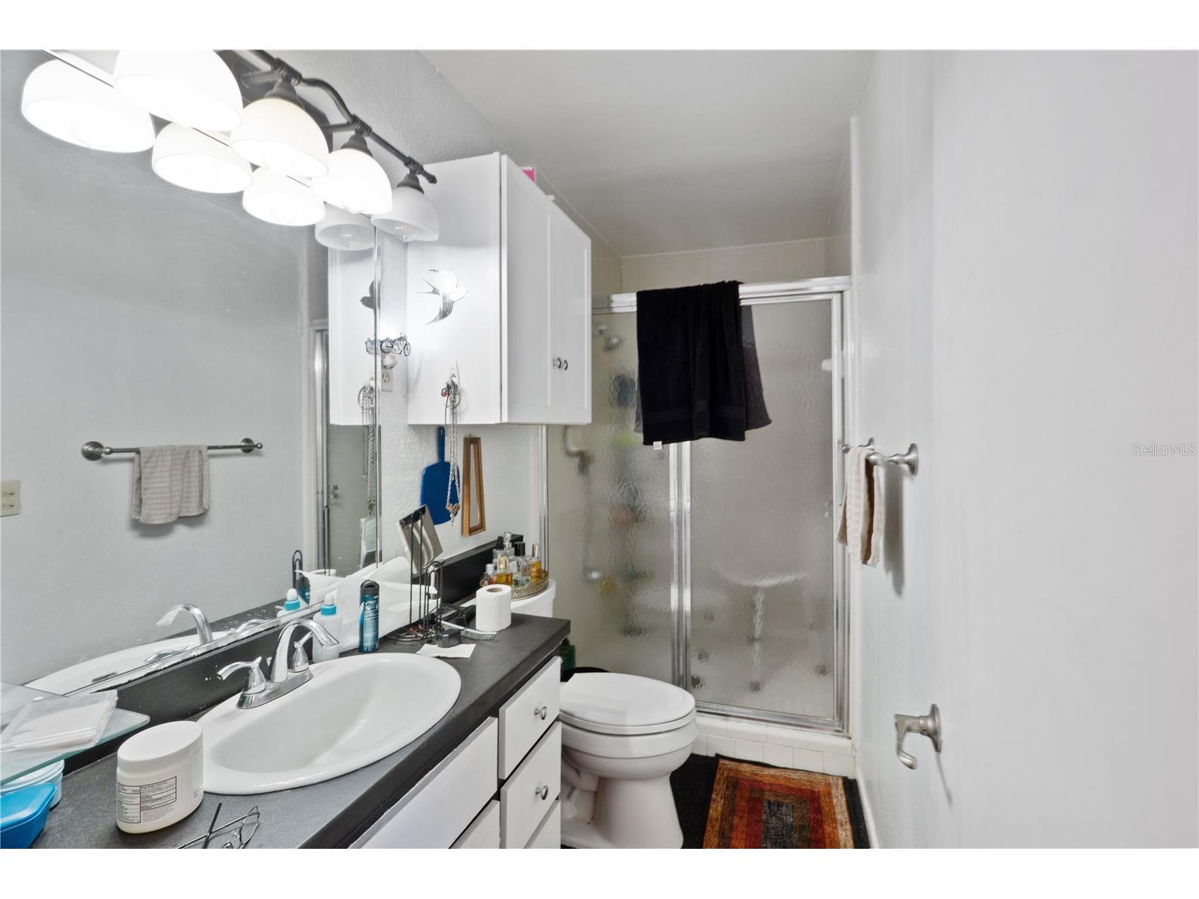 270 W Mcclendon Street Lady Lake FL 32159 G5110357 image19