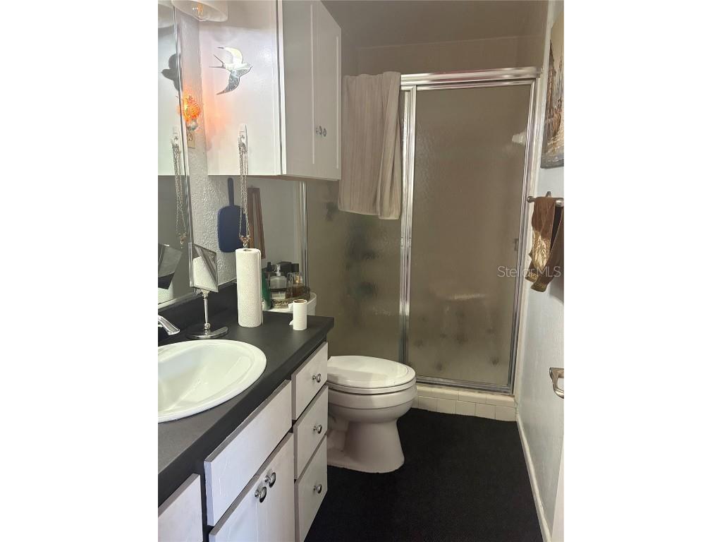 270 W Mcclendon Street Lady Lake FL 32159 V4945578 image13