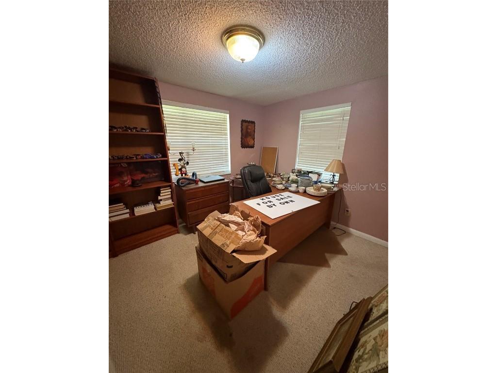 270 W Mcclendon Street Lady Lake FL 32159 V4945578 image2