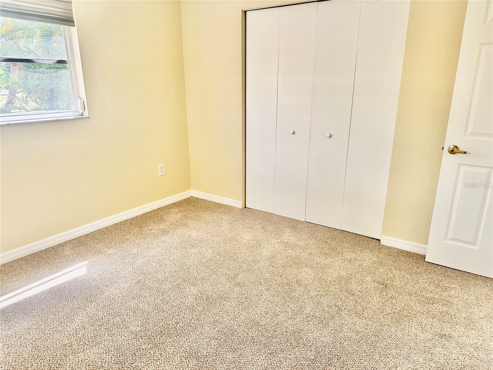 270 W Seminole Drive Venice FL 34293 N6144626 image19