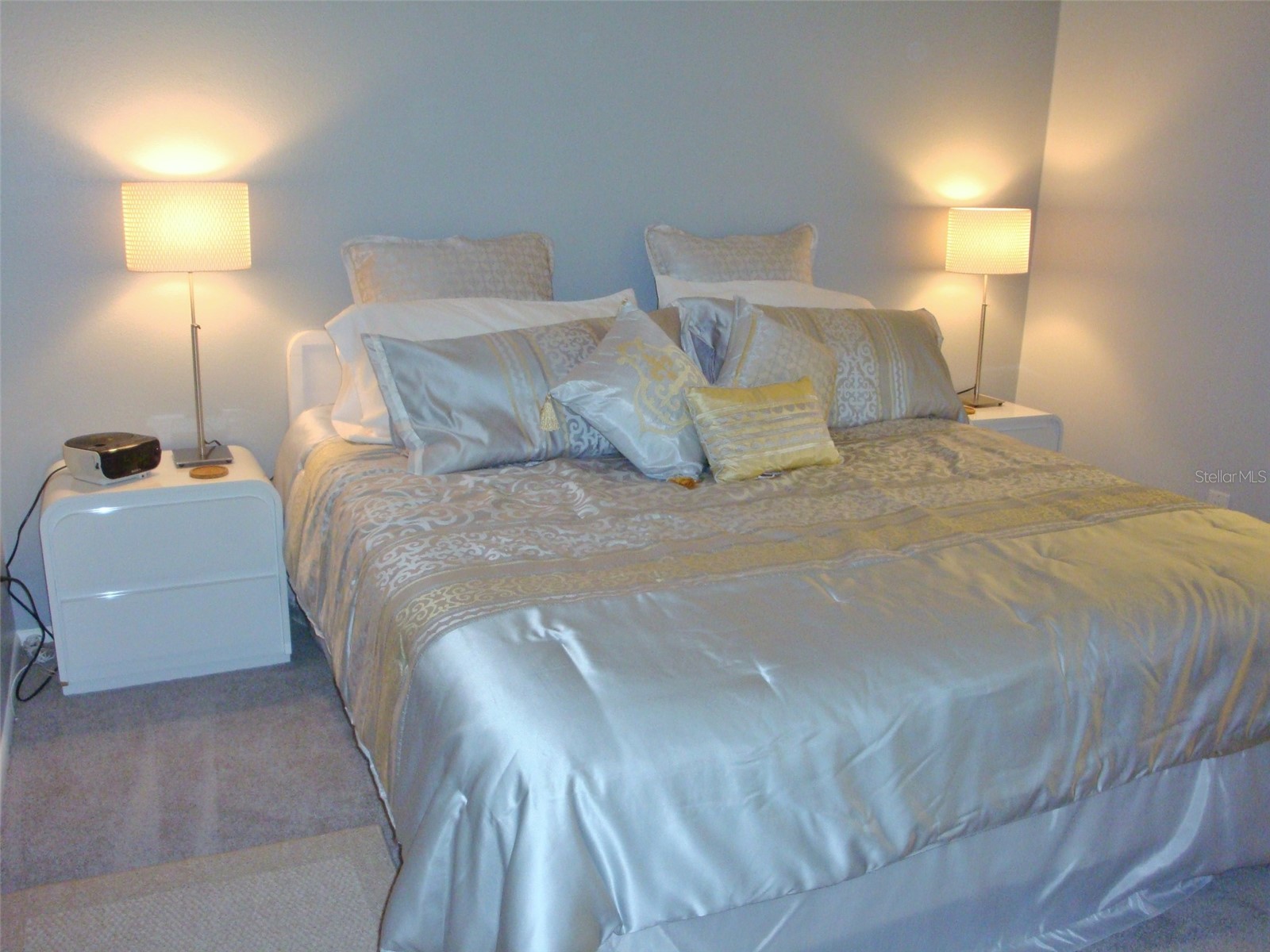 270 Woodlake Wynde #270 Oldsmar FL 34677 TB8476906 image11