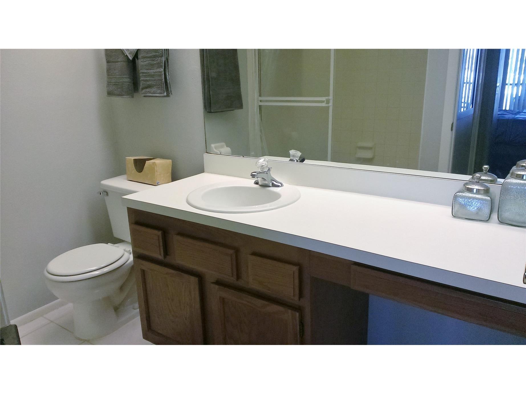 270 Woodlake Wynde #270 Oldsmar FL 34677 TB8476906 image14