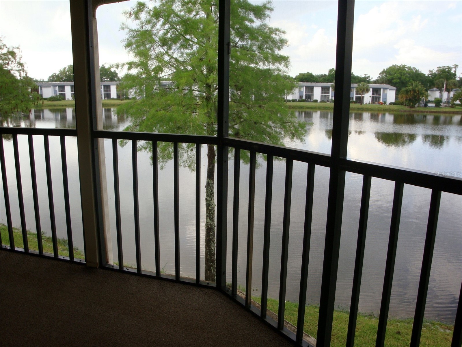 270 Woodlake Wynde #270 Oldsmar FL 34677 TB8476906 image20