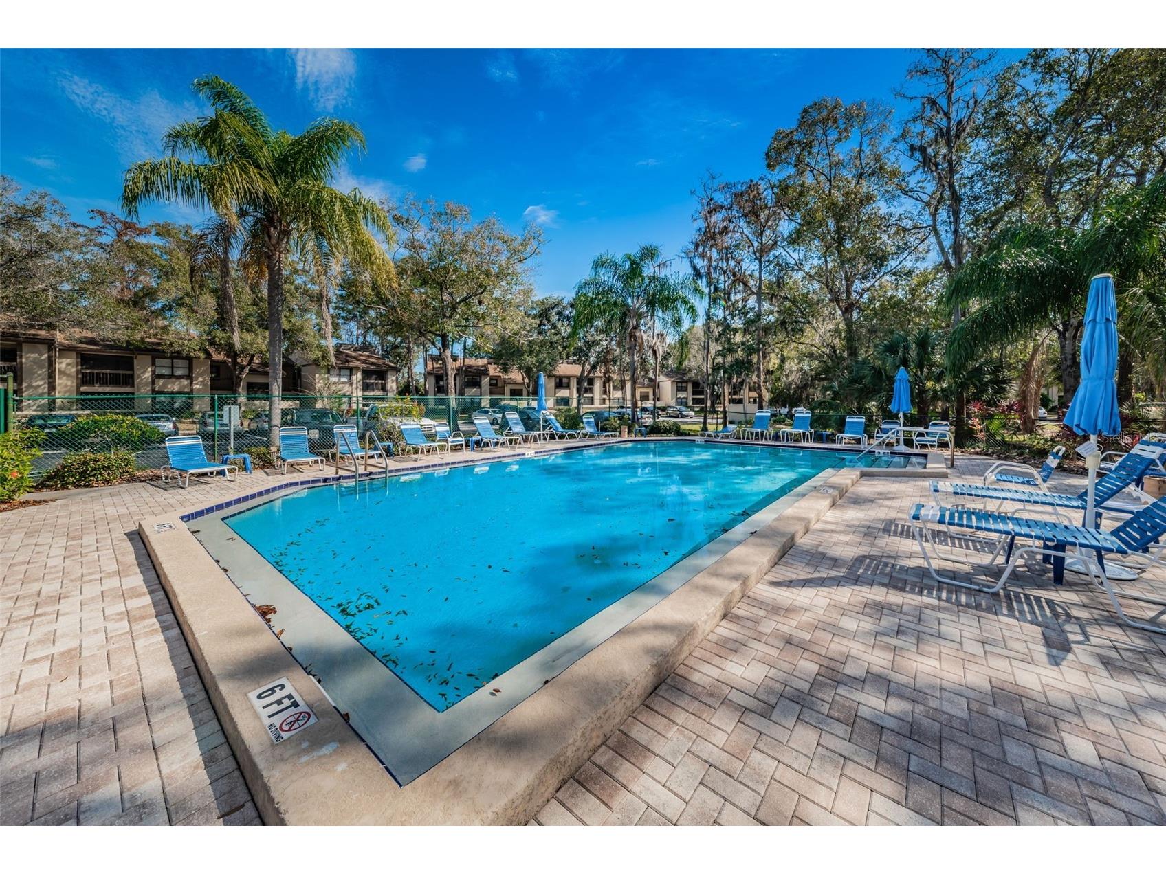 270 Woodlake Wynde #270 Oldsmar FL 34677 TB8476906 image22