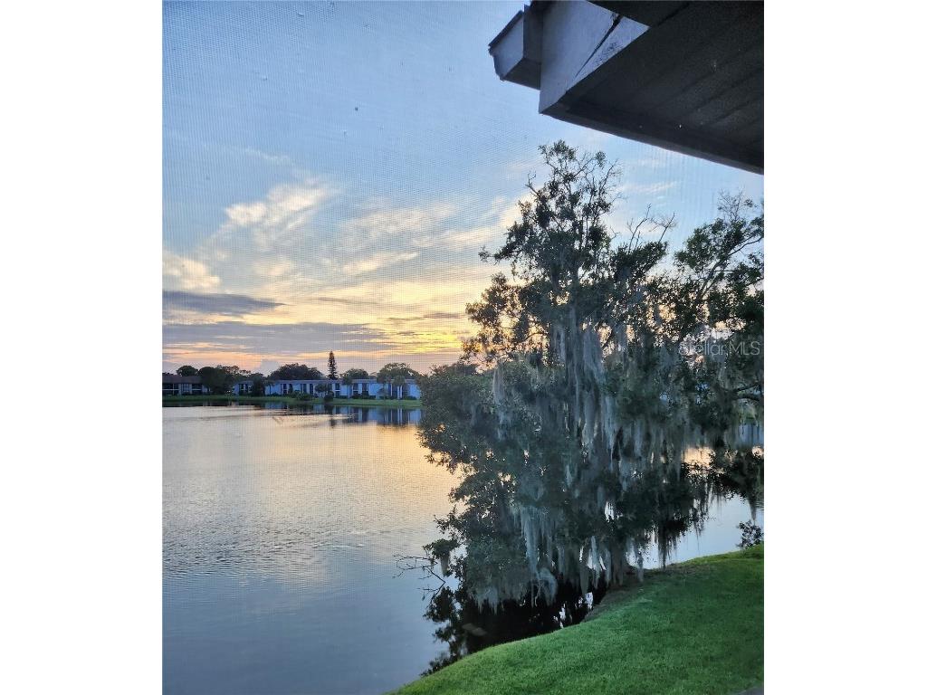 270 Woodlake Wynde Oldsmar FL 34677 U8250607 image1