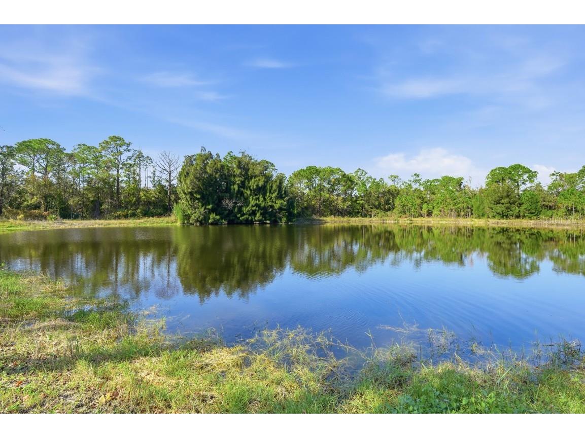 270 Wright Grove Road Oak Hill FL 32759 NS1085902 image13