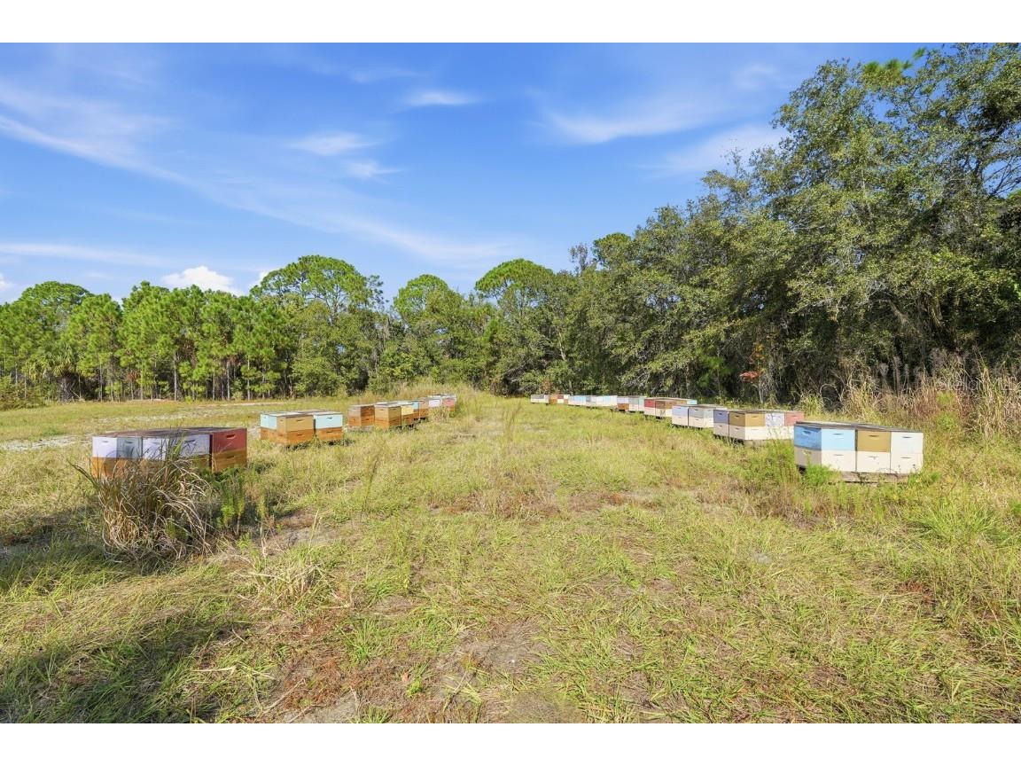 270 Wright Grove Road Oak Hill FL 32759 NS1085902 image15