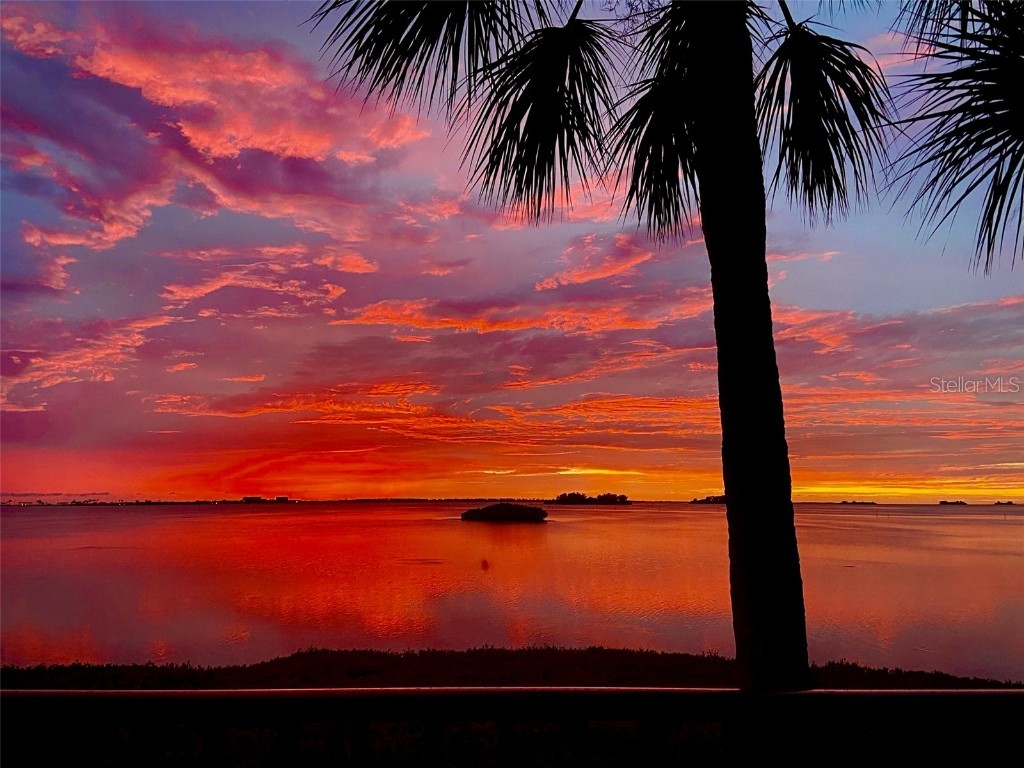 2700 Bayshore Boulevard #11-105 Dunedin FL 34698 - ST JOSEPH SOUND/GULF TB8437849 image6