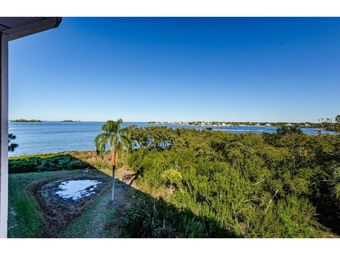 2700 Bayshore Boulevard #11302 Dunedin FL 34698 - ST JOSEPH SOUND/GULF OF MEXICO TB8343487 image11