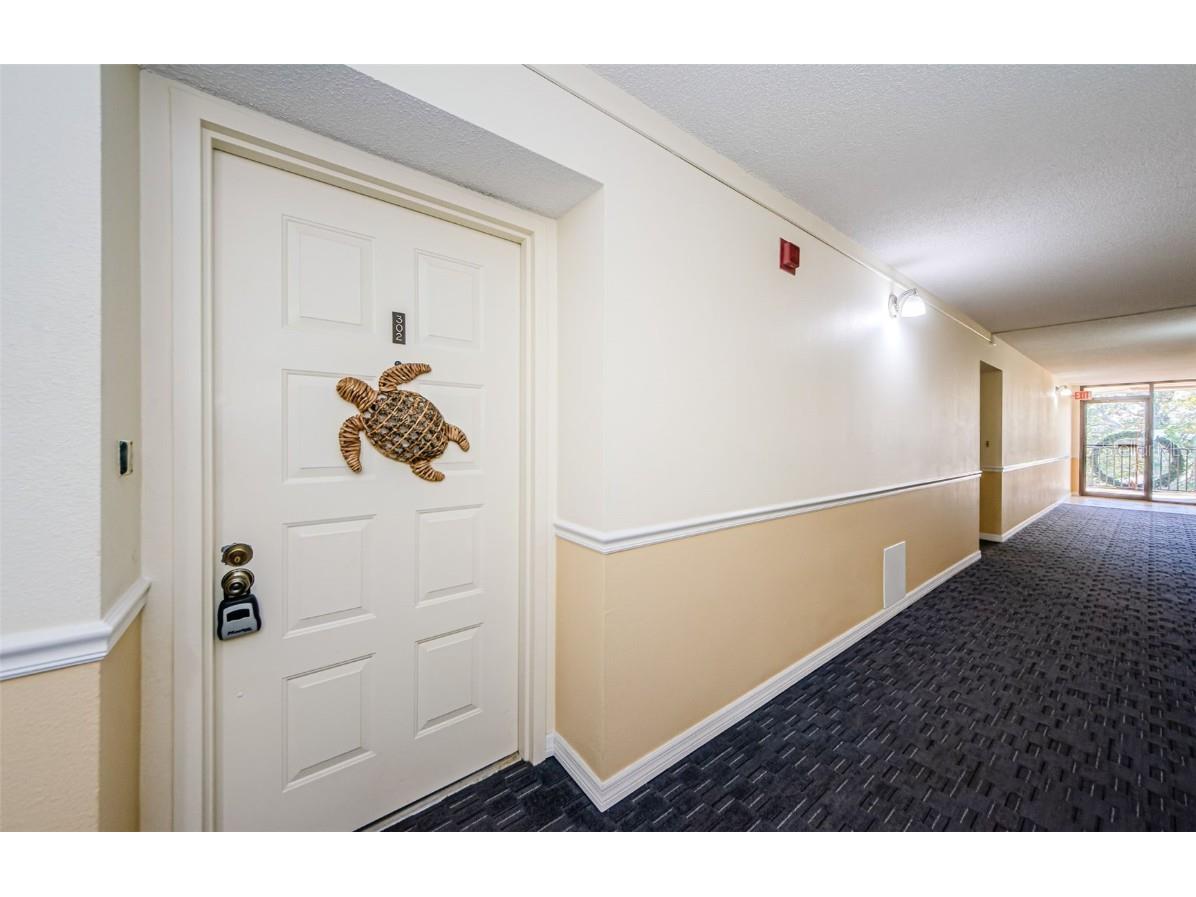 2700 Bayshore Boulevard #11302 Dunedin FL 34698 - ST JOSEPH SOUND/GULF OF MEXICO TB8343487 image4