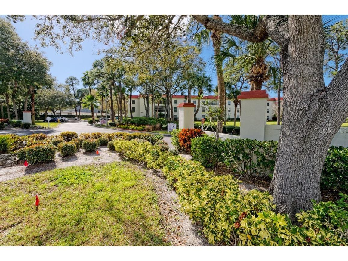 2700 Bayshore Boulevard #11302 Dunedin FL 34698 - ST JOSEPH SOUND/GULF OF MEXICO TB8343487 image44