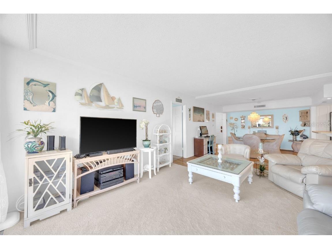 2700 Bayshore Boulevard #11308 Dunedin FL 34698 - ST. JOSEPH’S SOUND TB8390076 image27