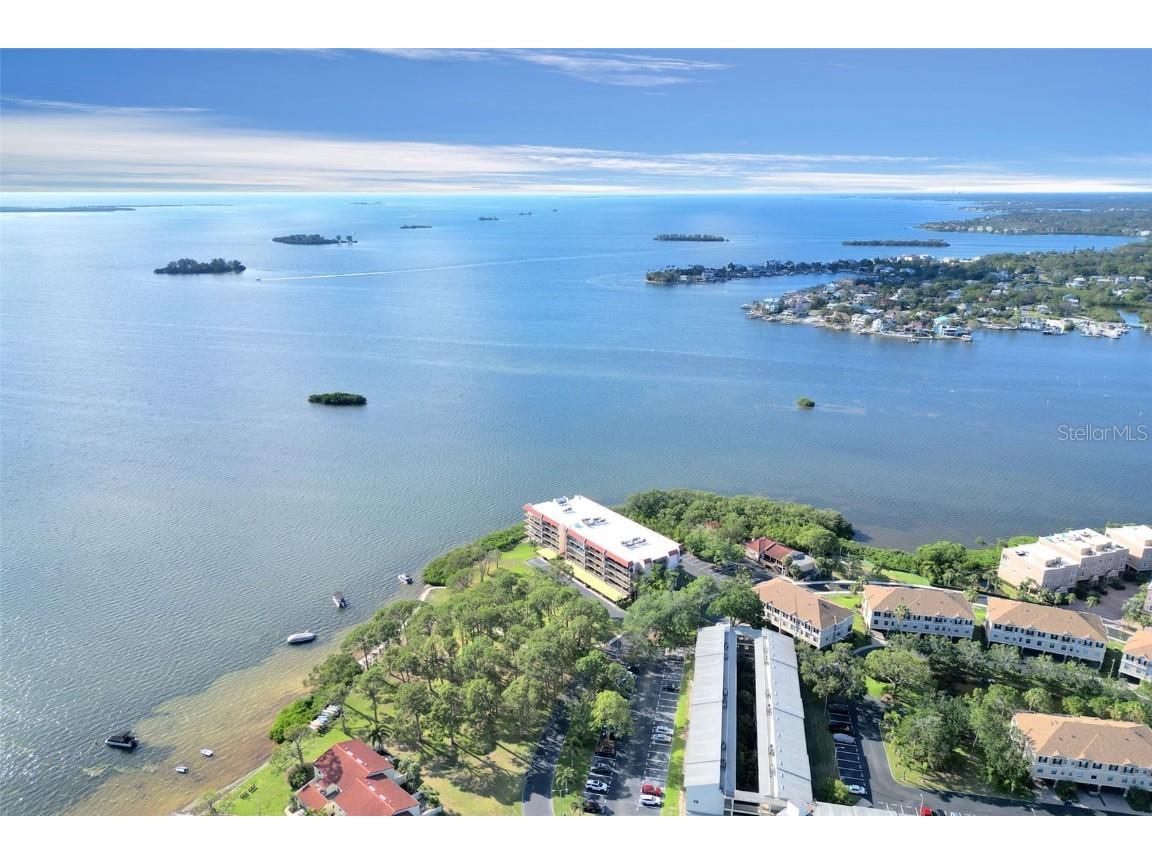 2700 Bayshore Boulevard #11308 Dunedin FL 34698 - ST. JOSEPH’S SOUND TB8390076 image3