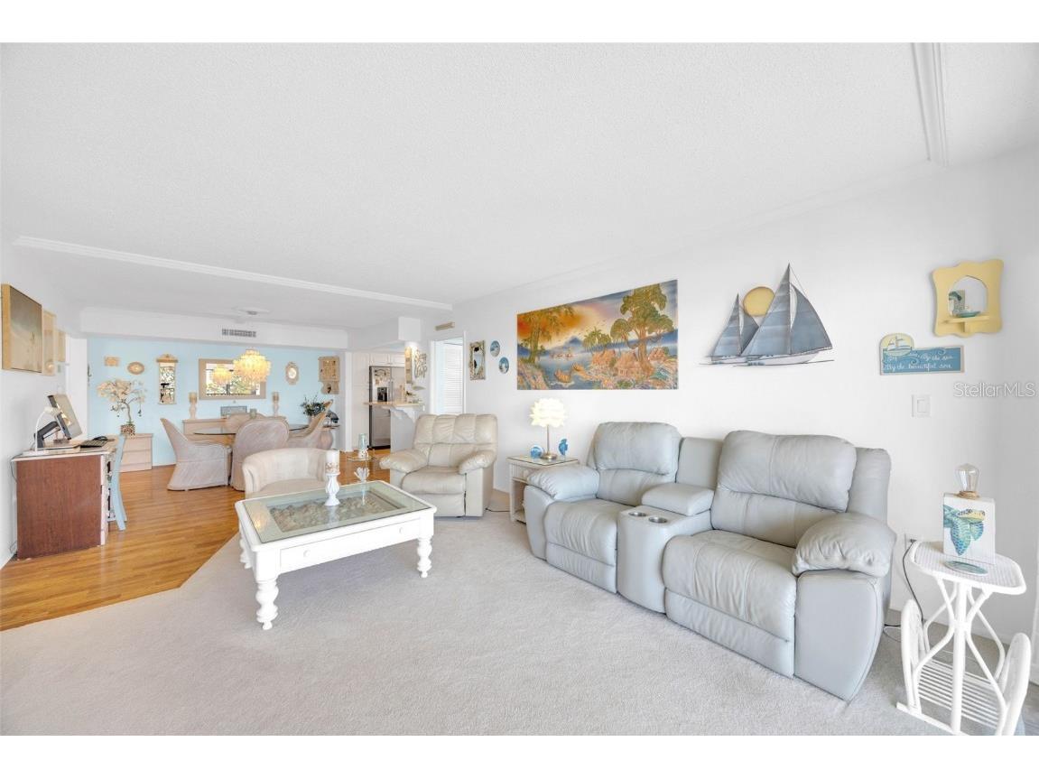 2700 Bayshore Boulevard #11308 Dunedin FL 34698 - ST. JOSEPH’S SOUND TB8390076 image34