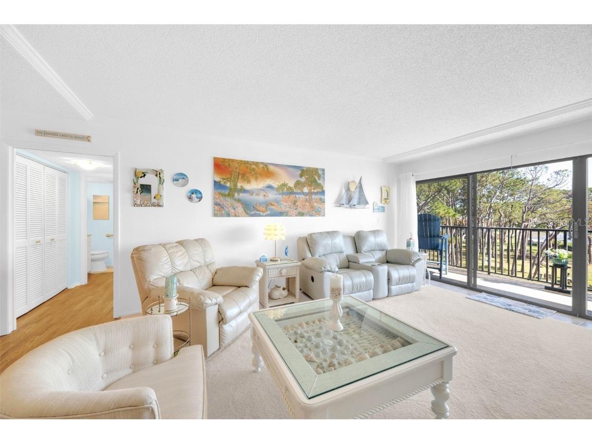 2700 Bayshore Boulevard #11308 Dunedin FL 34698 - ST. JOSEPH’S SOUND TB8390076 image35