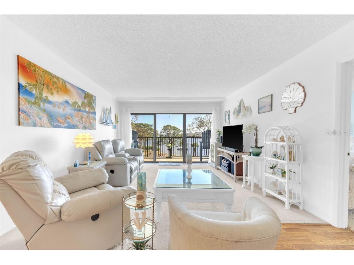 2700 Bayshore Boulevard #11308 Dunedin FL 34698 - ST. JOSEPH’S SOUND TB8390076 image36