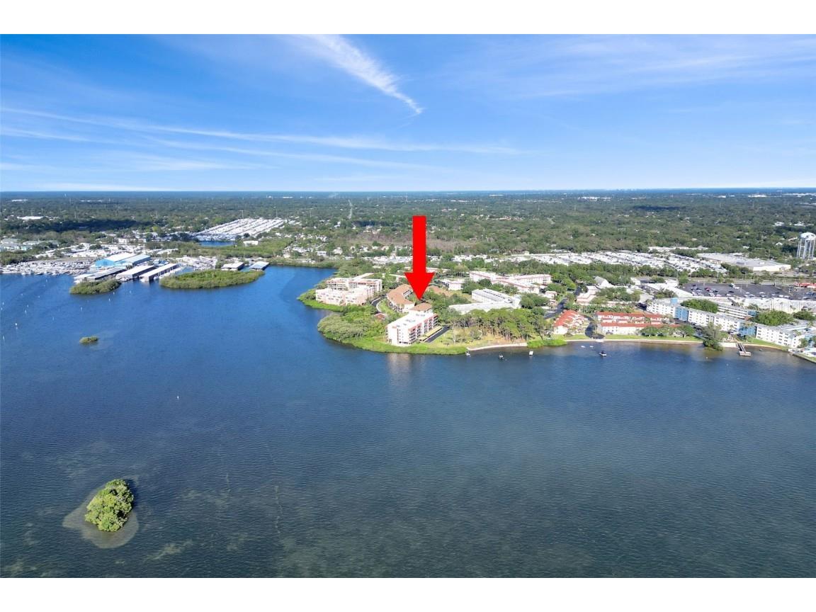 2700 Bayshore Boulevard #11308 Dunedin FL 34698 - ST. JOSEPH’S SOUND TB8390076 image50