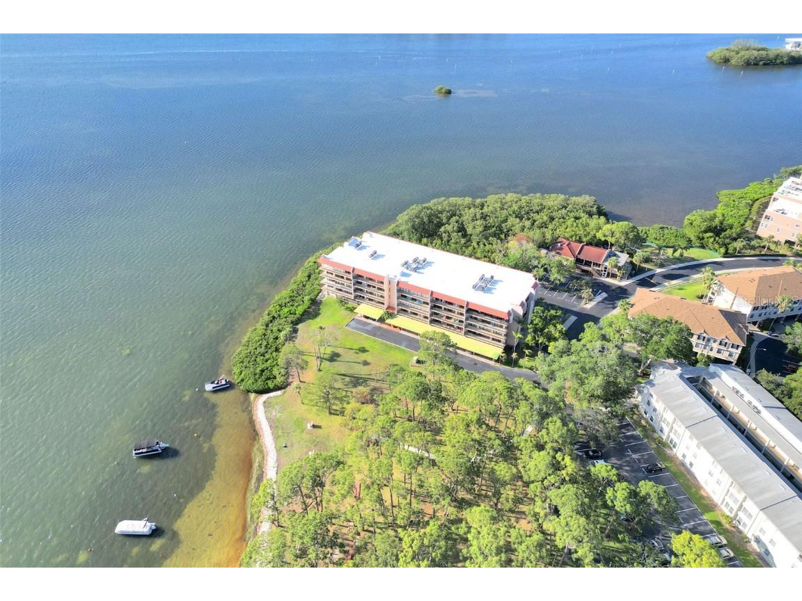 2700 Bayshore Boulevard #11308 Dunedin FL 34698 - ST. JOSEPH’S SOUND TB8390076 image52