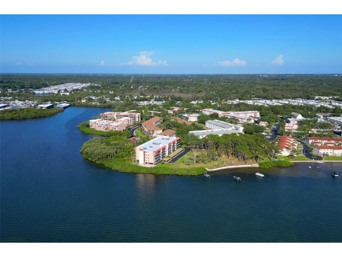 2700 Bayshore Boulevard #11308 Dunedin FL 34698 - ST. JOSEPH’S SOUND TB8390076 image53