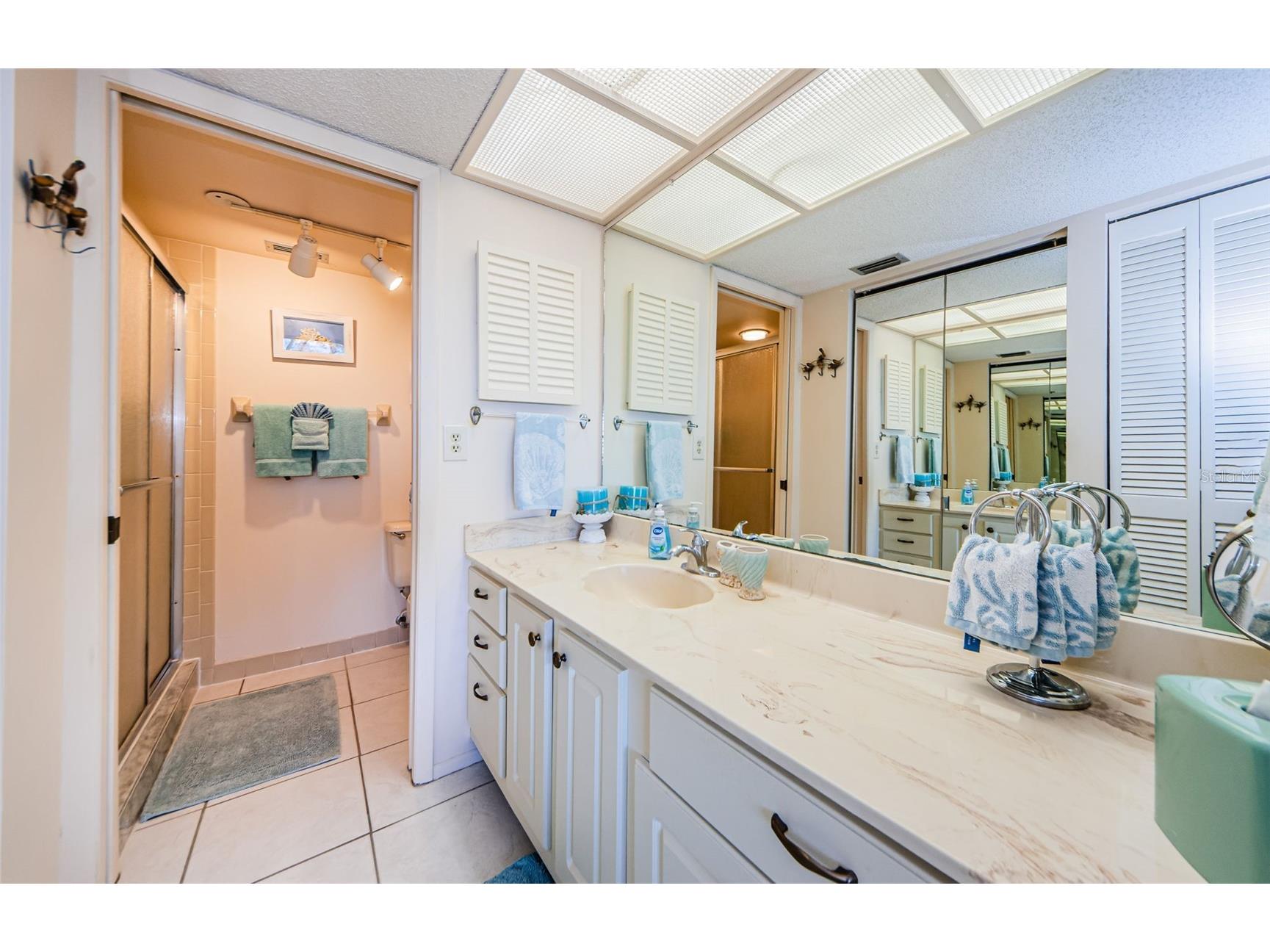 2700 Bayshore Boulevard #11309 Dunedin FL 34698 - SOUND/INTRACOASTAL/GULF TB8477198 image24