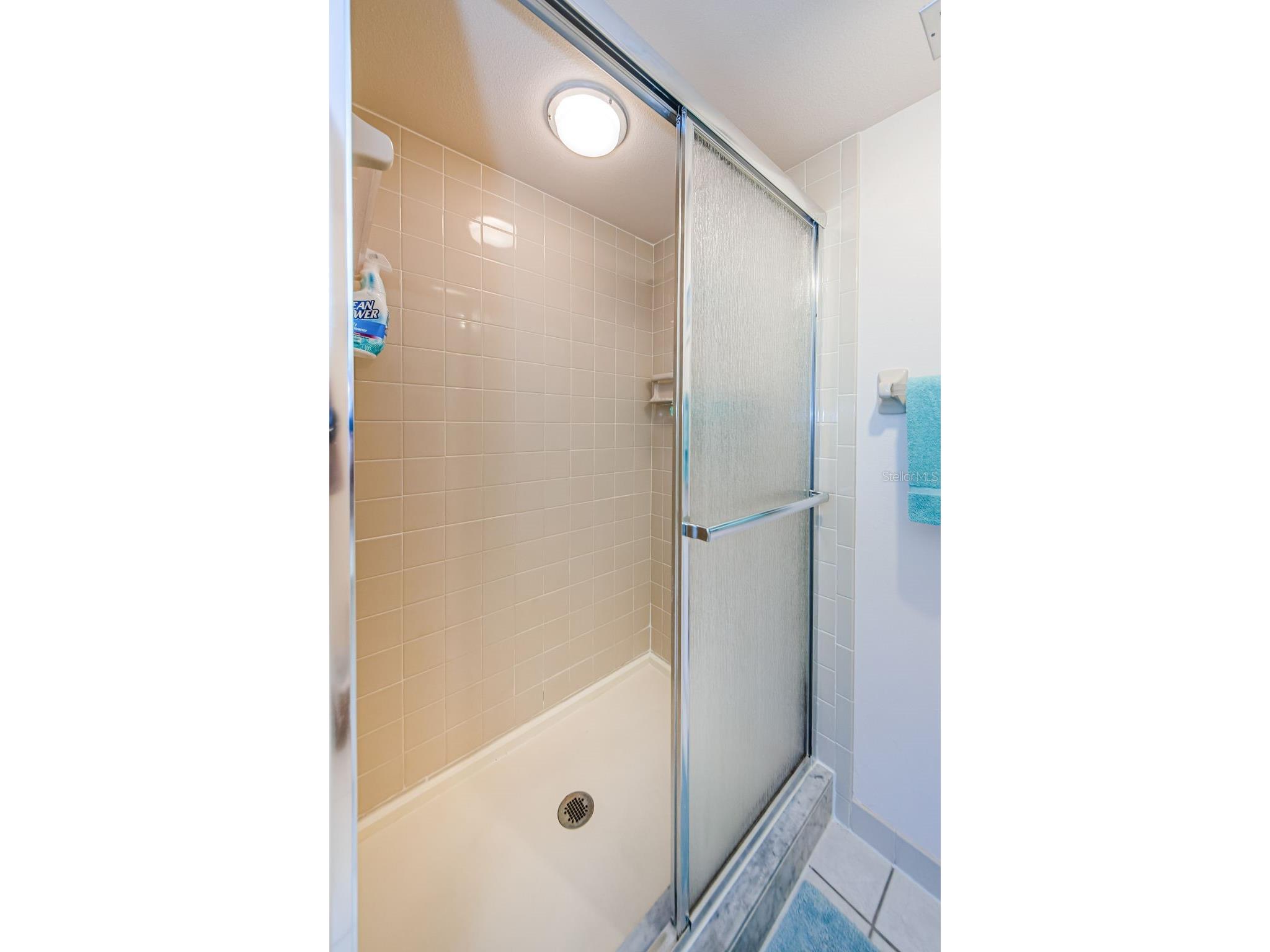 2700 Bayshore Boulevard #11309 Dunedin FL 34698 - SOUND/INTRACOASTAL/GULF TB8477198 image25