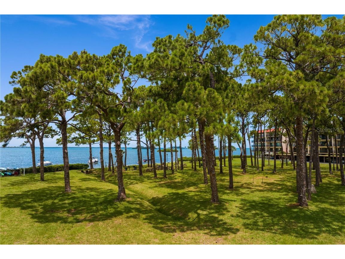 2700 Bayshore Boulevard #11405 Dunedin FL 34698 - ST JOSEPH SOUND/INTRACOASTAL TB8408165 image30