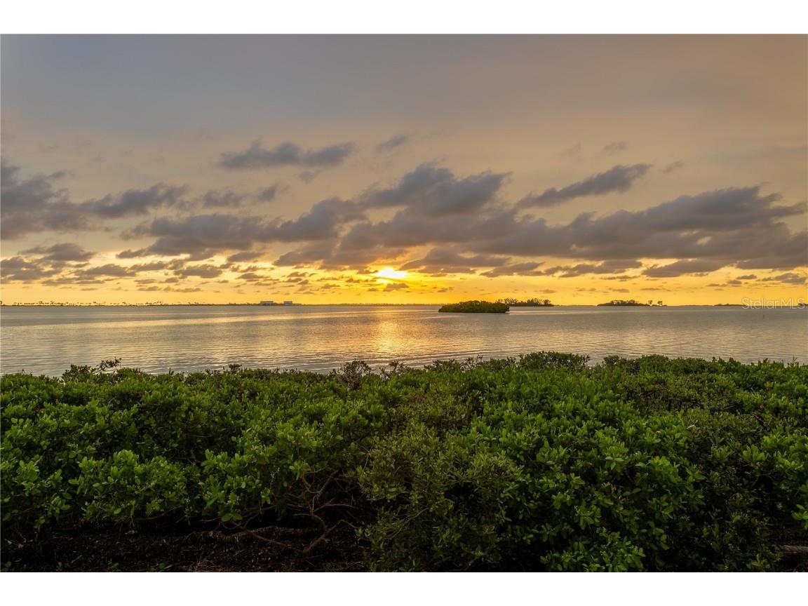 2700 Bayshore Boulevard #11405 Dunedin FL 34698 - ST JOSEPH SOUND/INTRACOASTAL TB8408165 image31