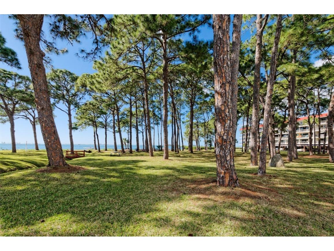 2700 Bayshore Boulevard #1206 Dunedin FL 34698 TB8400191 image11