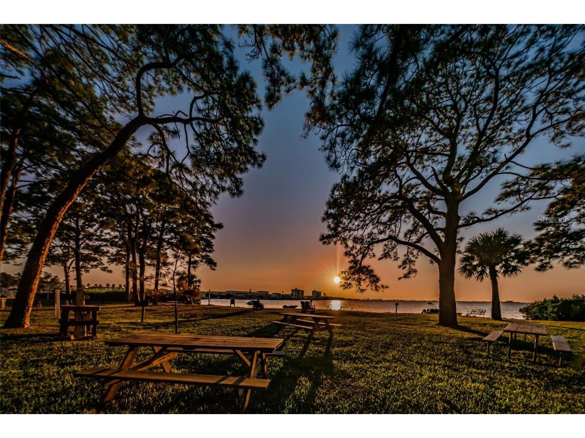 2700 Bayshore Boulevard #1206 Dunedin FL 34698 TB8400191 image12