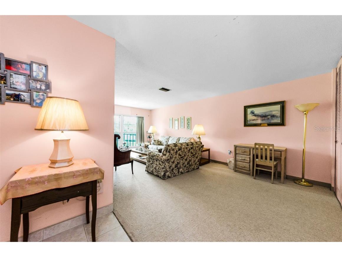 2700 Bayshore Boulevard #1206 Dunedin FL 34698 TB8400191 image17