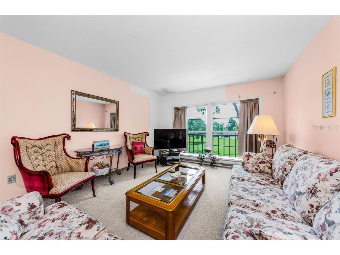 2700 Bayshore Boulevard #1206 Dunedin FL 34698 TB8400191 image20