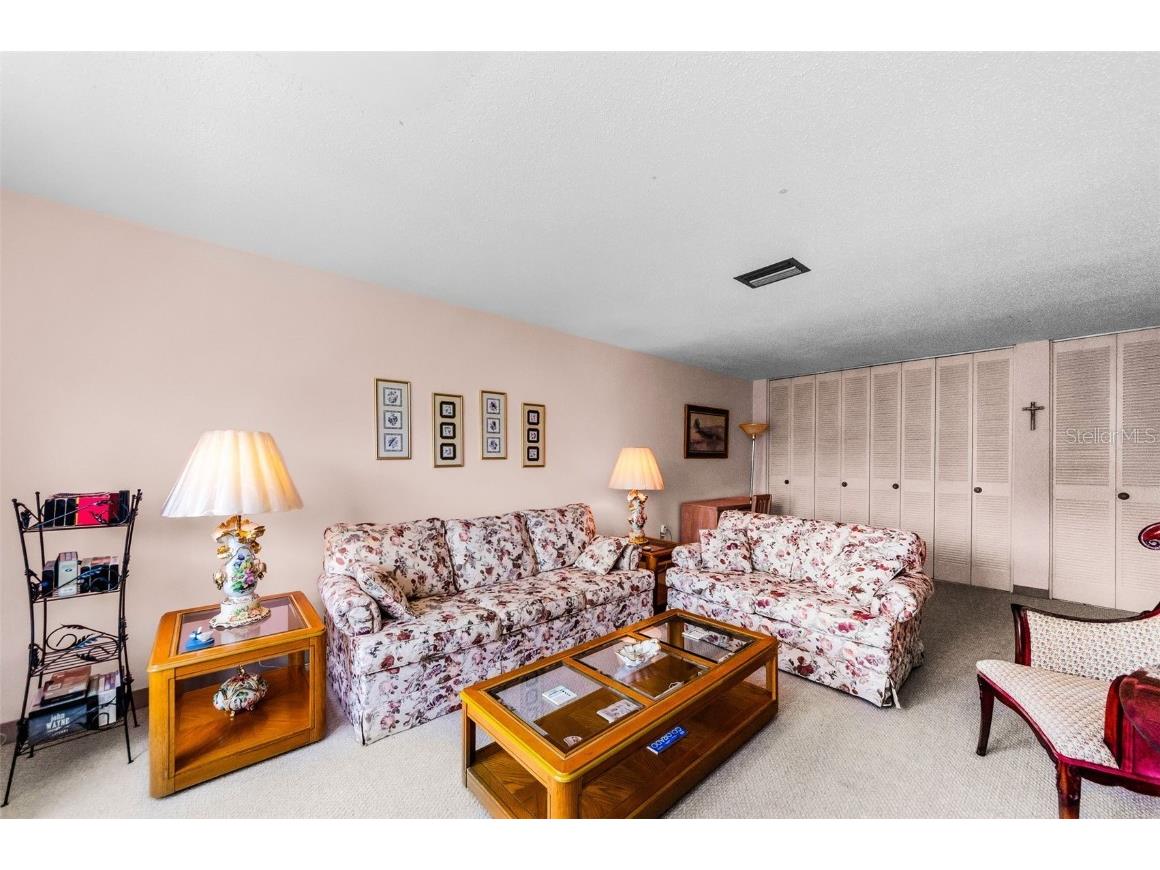 2700 Bayshore Boulevard #1206 Dunedin FL 34698 TB8400191 image21