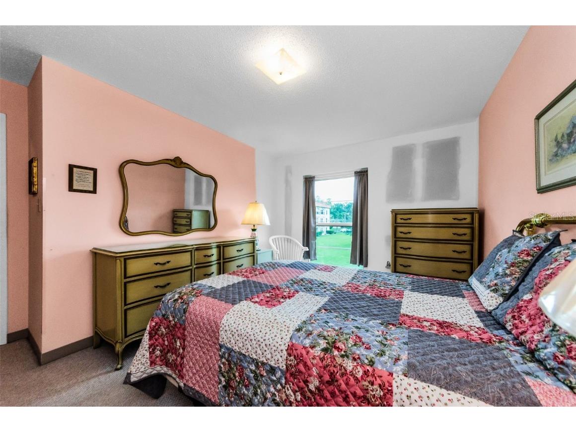 2700 Bayshore Boulevard #1206 Dunedin FL 34698 TB8400191 image28