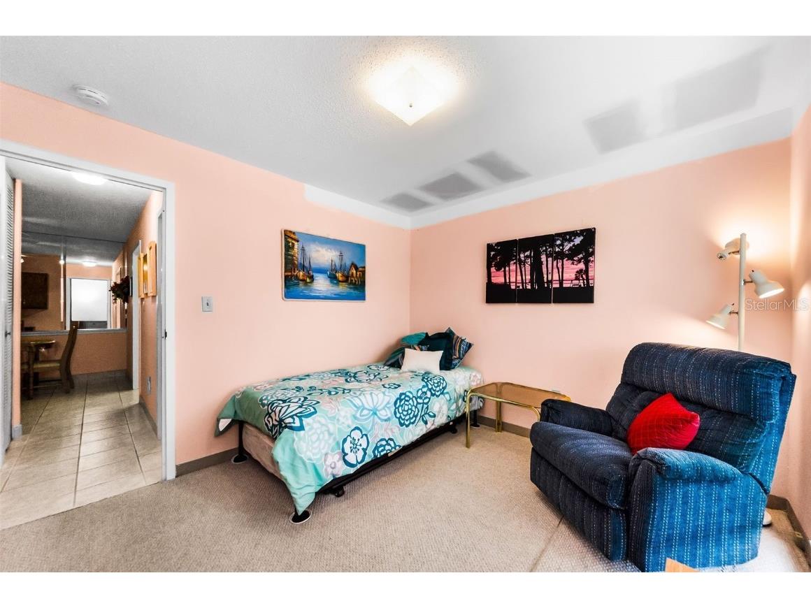 2700 Bayshore Boulevard #1206 Dunedin FL 34698 TB8400191 image31