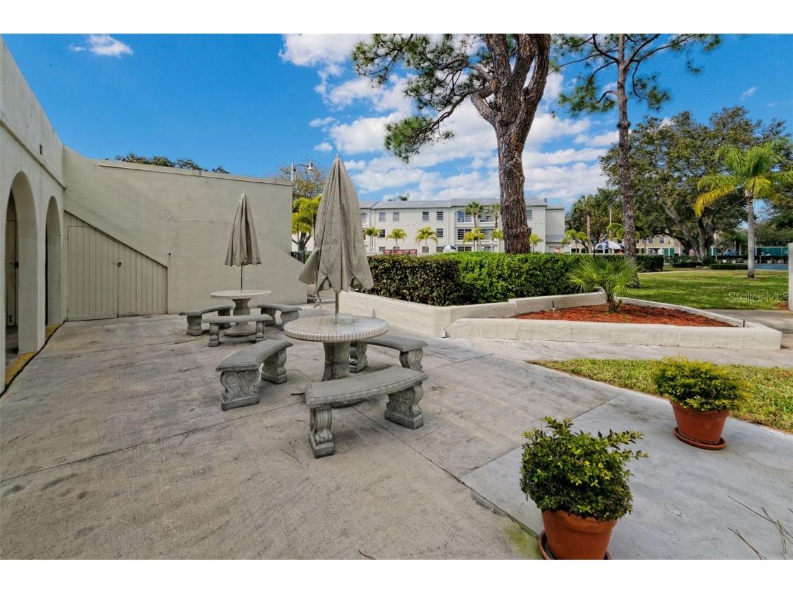 2700 Bayshore Boulevard #1206 Dunedin FL 34698 TB8400191 image48