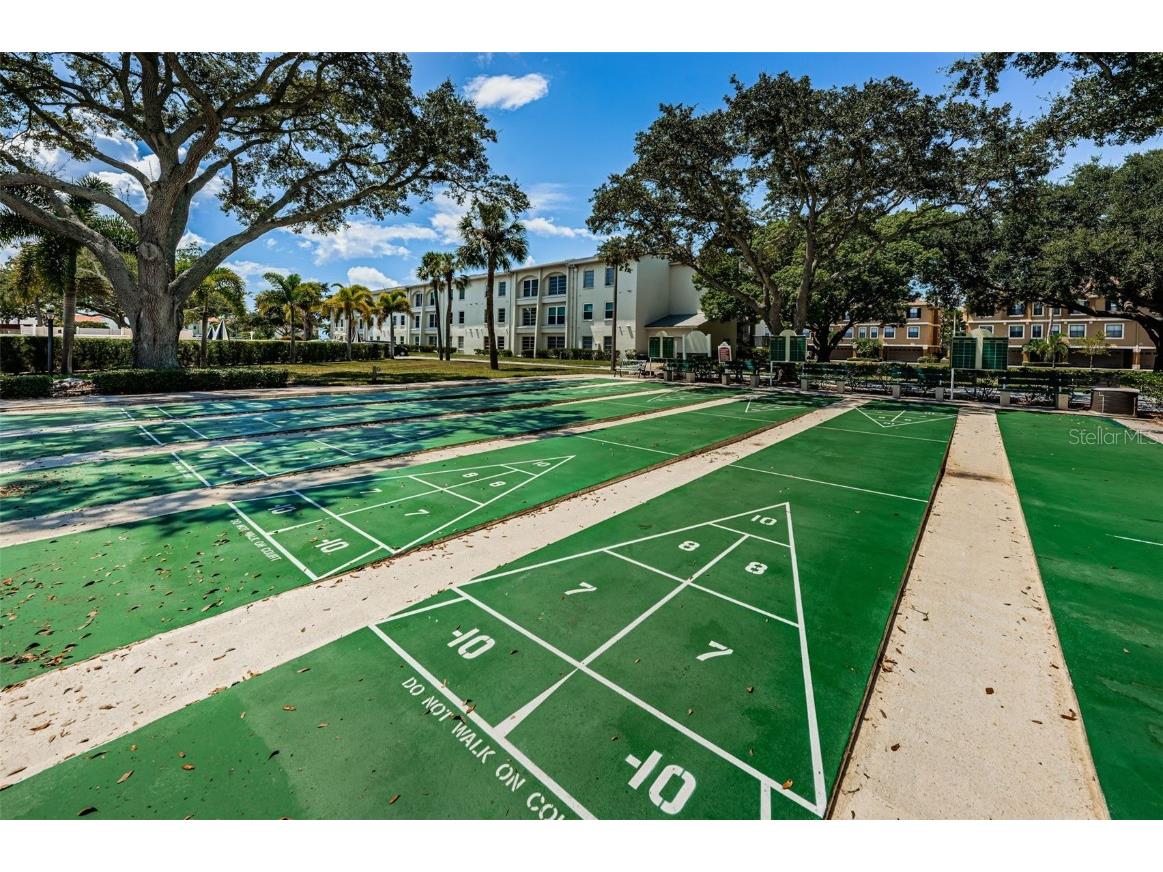 2700 Bayshore Boulevard #1206 Dunedin FL 34698 TB8400191 image52