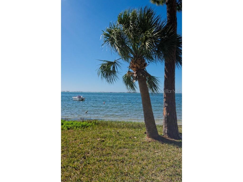 2700 Bayshore Boulevard #1206 Dunedin FL 34698 TB8400191 image56