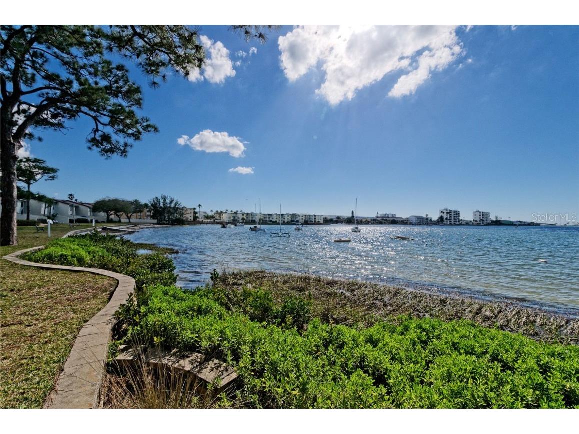 2700 Bayshore Boulevard #1206 Dunedin FL 34698 TB8400191 image60