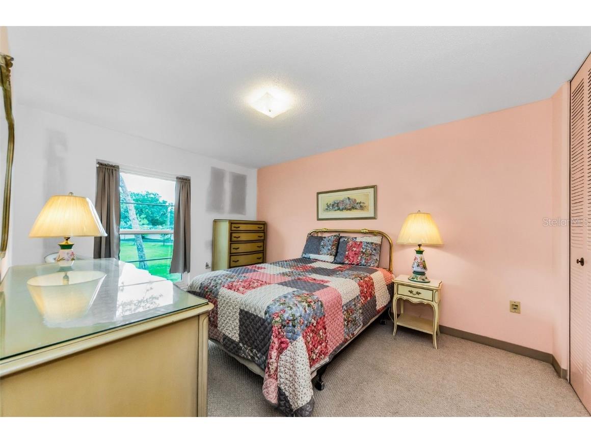 2700 Bayshore Boulevard #1206 Dunedin FL 34698 TB8400191 image7