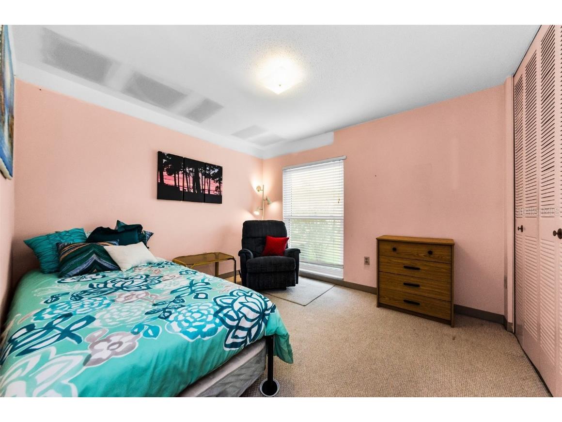 2700 Bayshore Boulevard #1206 Dunedin FL 34698 TB8400191 image8