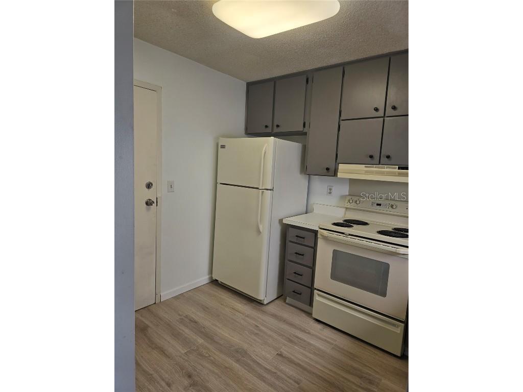 2700 Bayshore Boulevard #1302 Dunedin FL 34698 - ST JOSEPH SOUND/INTRACOASTAL/G TB8425470 image15