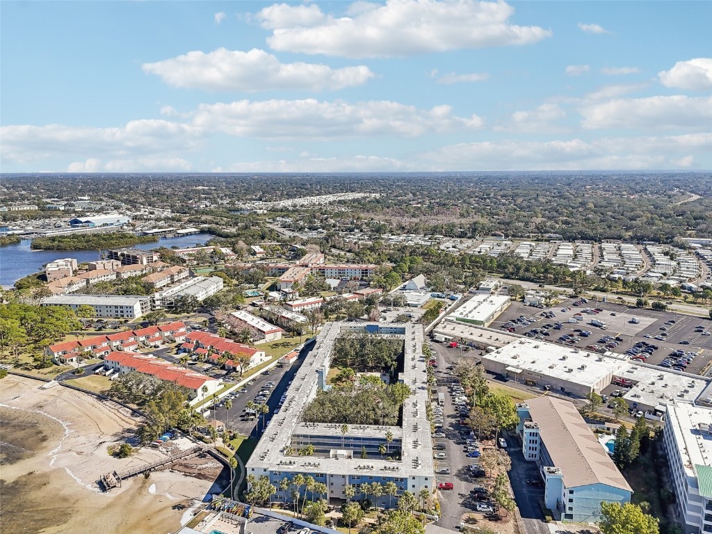 2700 Bayshore Boulevard #1305 Dunedin FL 34698 TB8343538 image39