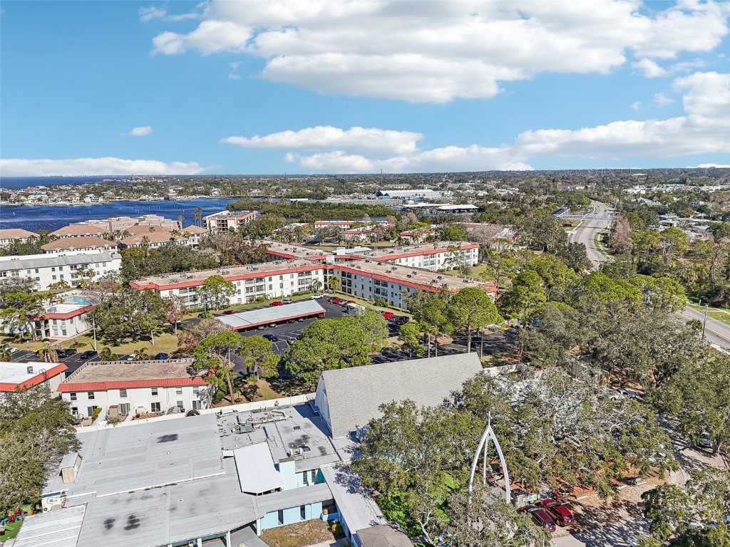 2700 Bayshore Boulevard #1305 Dunedin FL 34698 TB8343538 image41