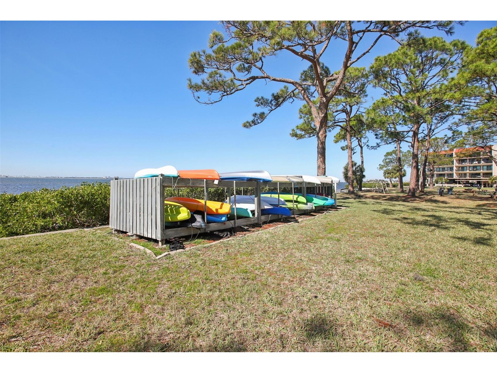 2700 Bayshore Boulevard #1305 Dunedin FL 34698 TB8482214 image28