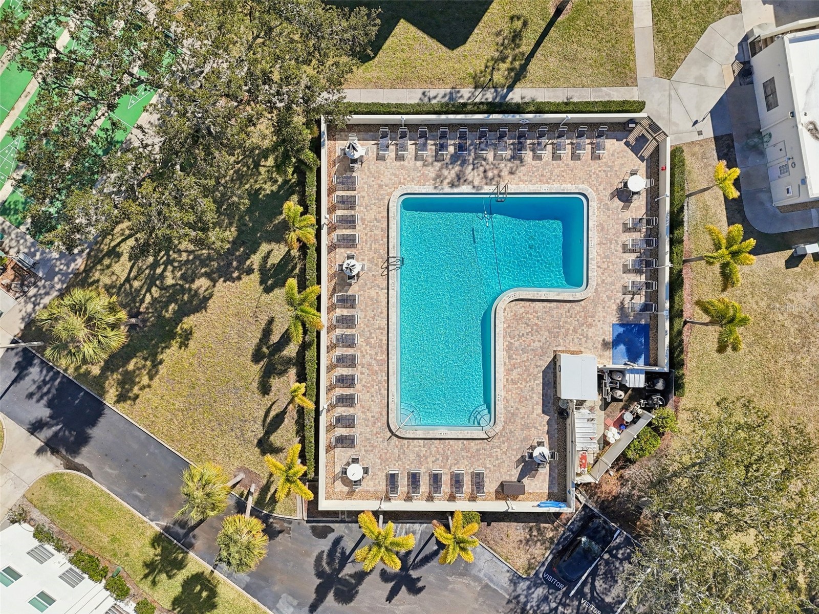 2700 Bayshore Boulevard #1305 Dunedin FL 34698 TB8482214 image30